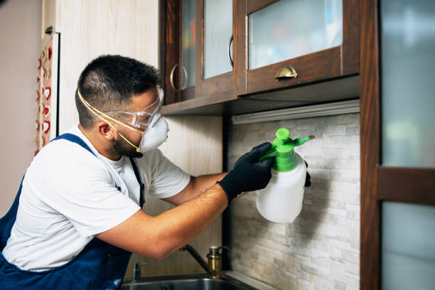 Best Pest Removal Services  in Yosemite Lakes, CA