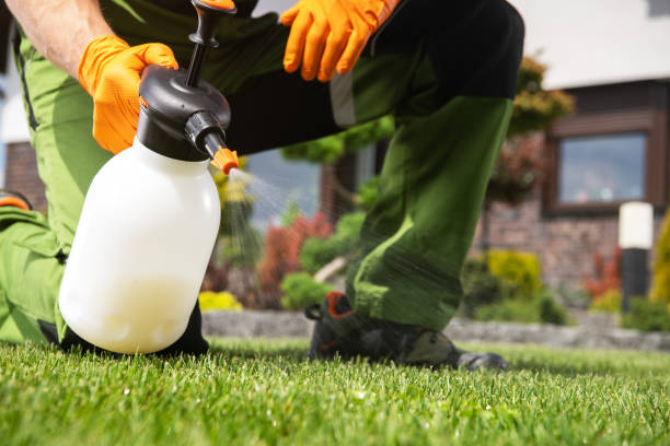 Best Pest Control for Homes  in Yosemite Lakes, CA