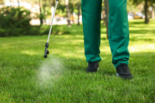 Flea Control Services in Yosemite Lakes, CA