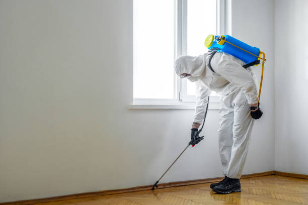 Best Local Pest Control Services  in Yosemite Lakes, CA