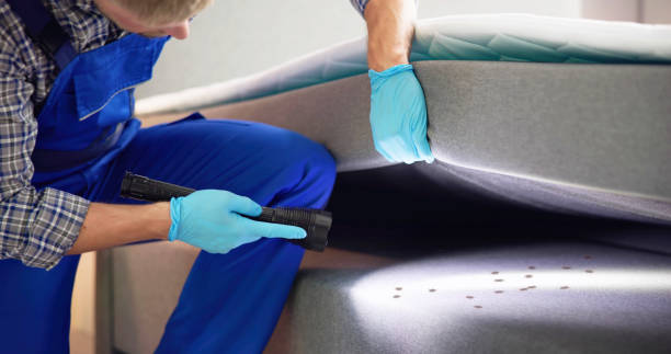 Best Affordable Pest Control Services  in Yosemite Lakes, CA