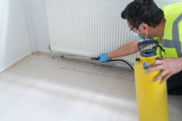 Best Pest Control Near Me  in Yosemite Lakes, CA
